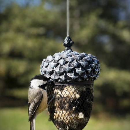 Acorn Bird Feeder/Nesting Material Holder
